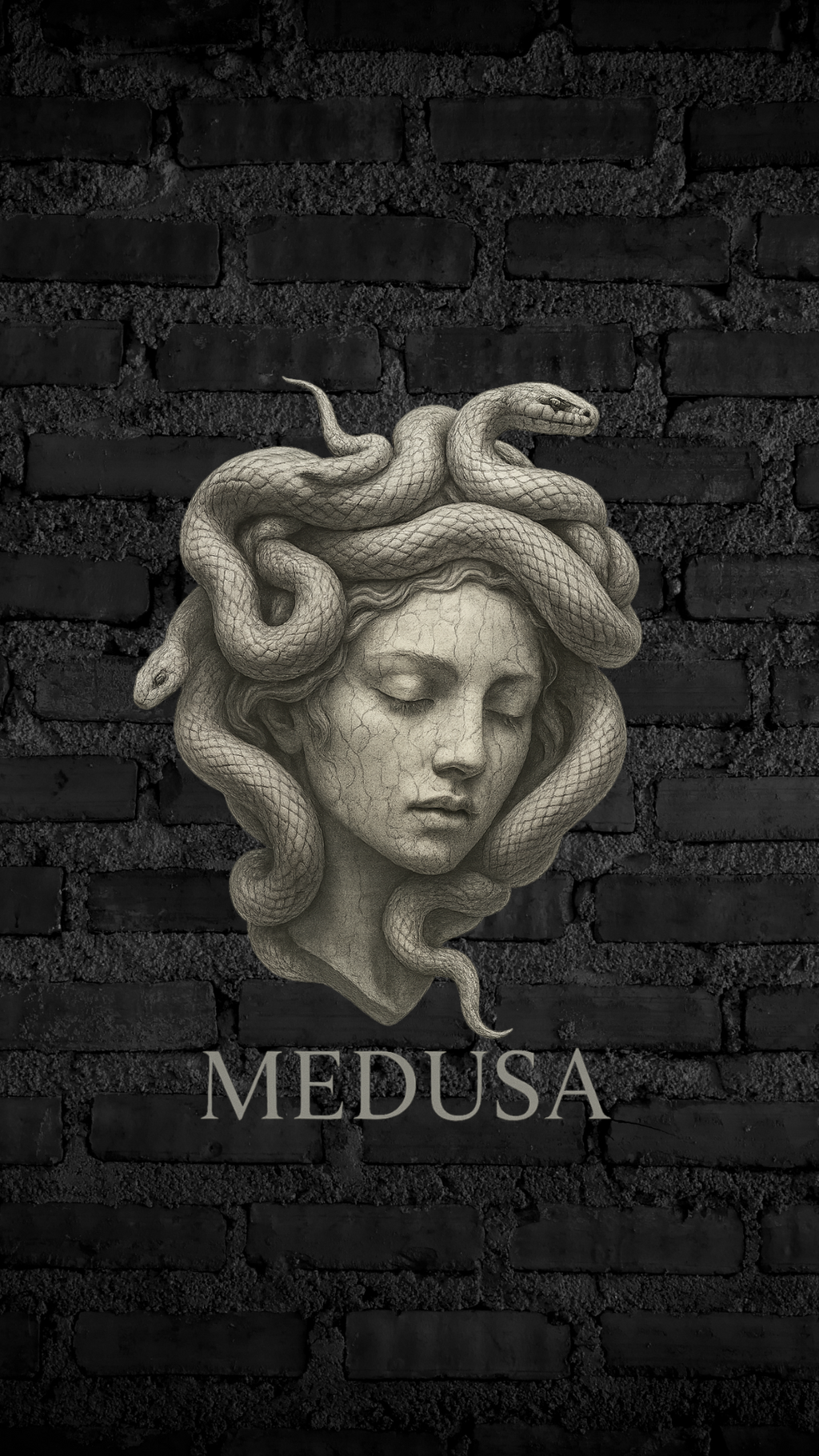 Art Worx Industrie MEDUSA – Heavy Cotton T-Shirt (Herren)